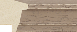 B1720 Brown Moulding from Wessex Pictures